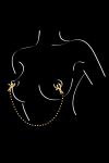 Chaine Pinces � Seins Sweet Caress