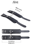 Kit Gay BDSM Alive Secret Desires Kit Gay BDSM Alive Secret Desires