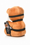 Ours Gay en Peluche avec Masque Aveuglant et Cordes de Shibari Master Series Bondage Teddy Bear Rope Ours Gay en Peluche avec Masque Aveuglant et Cordes de Shibari Master Series Bondage Teddy Bear Rope
