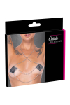 Caches T�tons avec Chainette de Cou pour Travestie Cotelli Accessoire Square